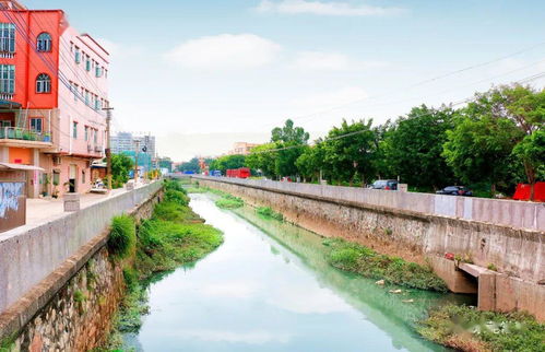 喻丽君率队深入调研常平水污染治理，推动水环境质量持续改善