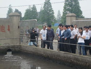 强化监管，系统治理 区人大五项建议助推水污染防治工作迈向新台阶