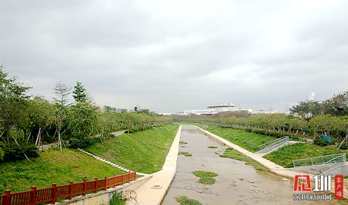 凤凰街道综合施策，力保雨季水污染治理全面达标