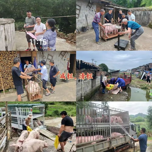 宁化多措并举打好汛期水污染防治攻坚战