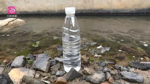 鱼游蟹藏 吉华水污染治理成效显著，黑臭水体已成历史