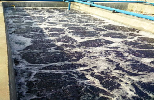 河溪水污染治理与一体化污水处理设备 工程安装、运营与长效治污路径